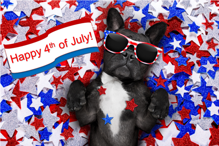 GoMirrorlite's tweet photo. Happy 4th of July! - https://t.co/nGGmVcQMV0 https://t.co/eEBy6MYuau