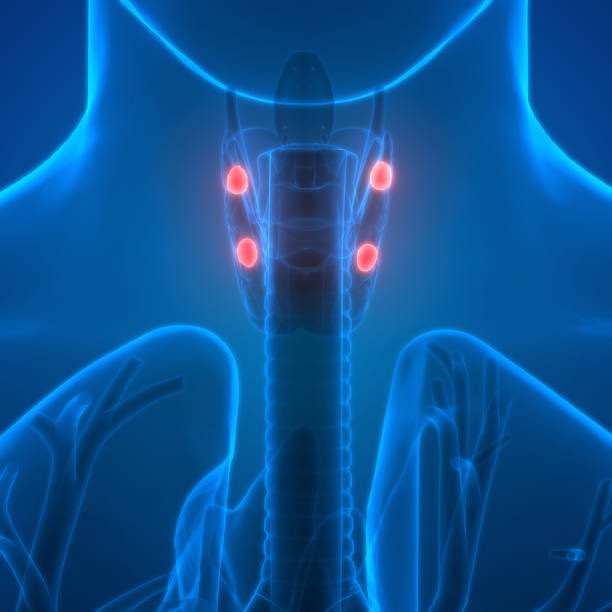 SURGERY Journal (@surgjournal) on Twitter photo Increasing rates of parathyroidectomy to treat secondary hyperparathyroidism in dialysis patients with Medicare coverage
surgjournal.com/article/S0039-…
<a href="/AartiMathur7/">Aarti Mathur MD</a> <a href="/WhitneySuttonMD/">Whitney Sutton, MD MHS</a> @McAdamsDeMarco <a href="/Dorry_Segev/">Dorry Segev</a> <a href="/mzeigermd/">Martha Zeiger MD</a> <a href="/TheAAES/">American Association of Endocrine Surgeons</a> <a href="/HopkinsMedicine/">Johns Hopkins Medicine</a> <a href="/theNCI/">National Cancer Institute</a> <a href="/NCICCR_SurgOnc/">NCI Surgical Oncology</a>
#SoMe4Surgery Increasing rates of parathyroidectomy to treat secondary hyperparathyroidism in dialysis patients with Medicare coverage
surgjournal.com/article/S0039-…
<a href="/AartiMathur7/">Aarti Mathur MD</a> <a href="/WhitneySuttonMD/">Whitney Sutton, MD MHS</a> @McAdamsDeMarco <a href="/Dorry_Segev/">Dorry Segev</a> <a href="/mzeigermd/">Martha Zeiger MD</a> <a href="/TheAAES/">American Association of Endocrine Surgeons</a> <a href="/HopkinsMedicine/">Johns Hopkins Medicine</a> <a href="/theNCI/">National Cancer Institute</a> <a href="/NCICCR_SurgOnc/">NCI Surgical Oncology</a>
#SoMe4Surgery