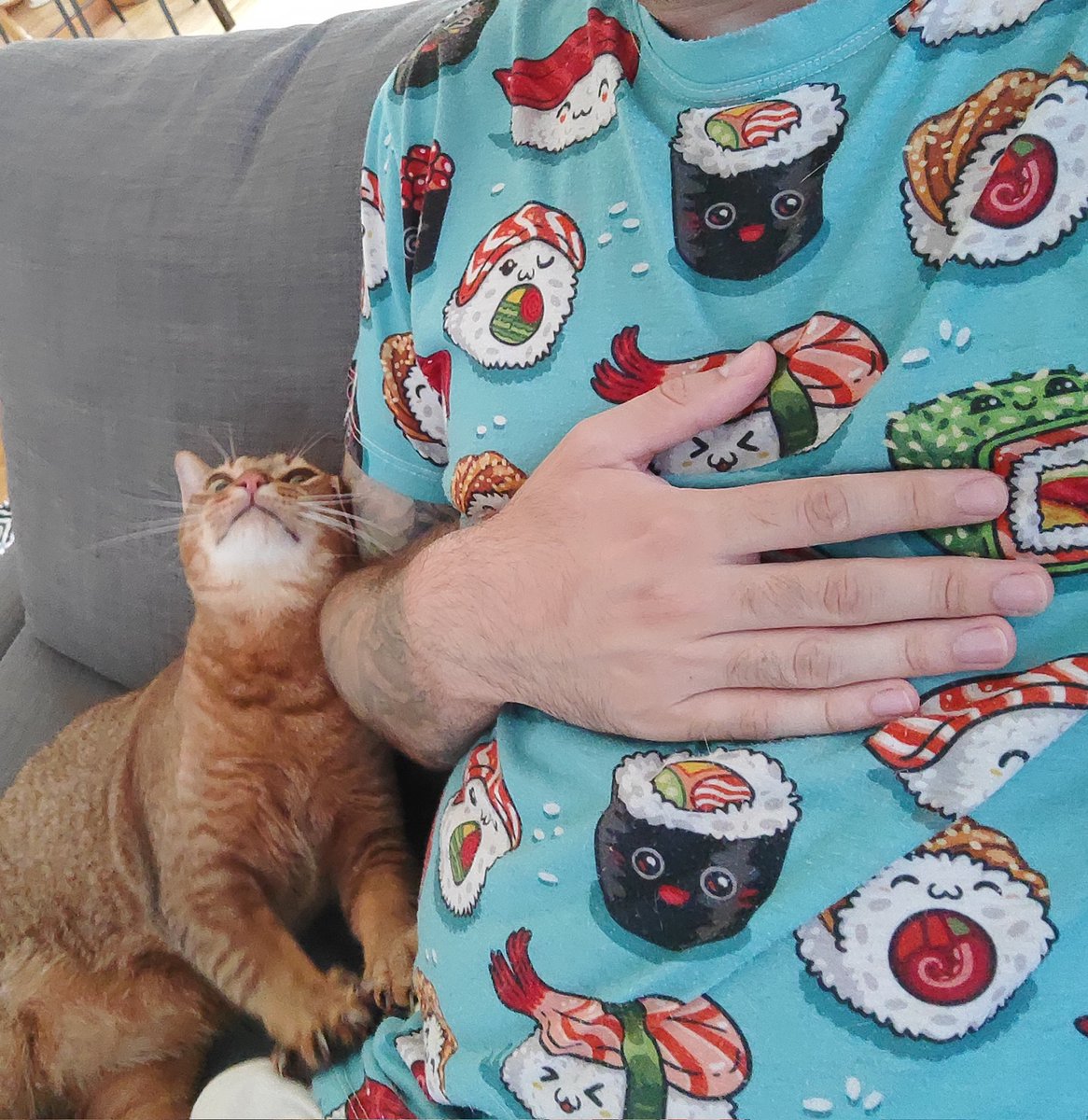 FatherHellion's tweet photo. Looking after a some Cats while someone I hold dear is going away for a bit. 

I might have chosen the wrong t-shirt for Day 1. https://t.co/6Nj6C5WsKj