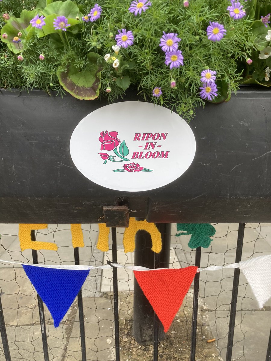 ripon in bloom tweet media