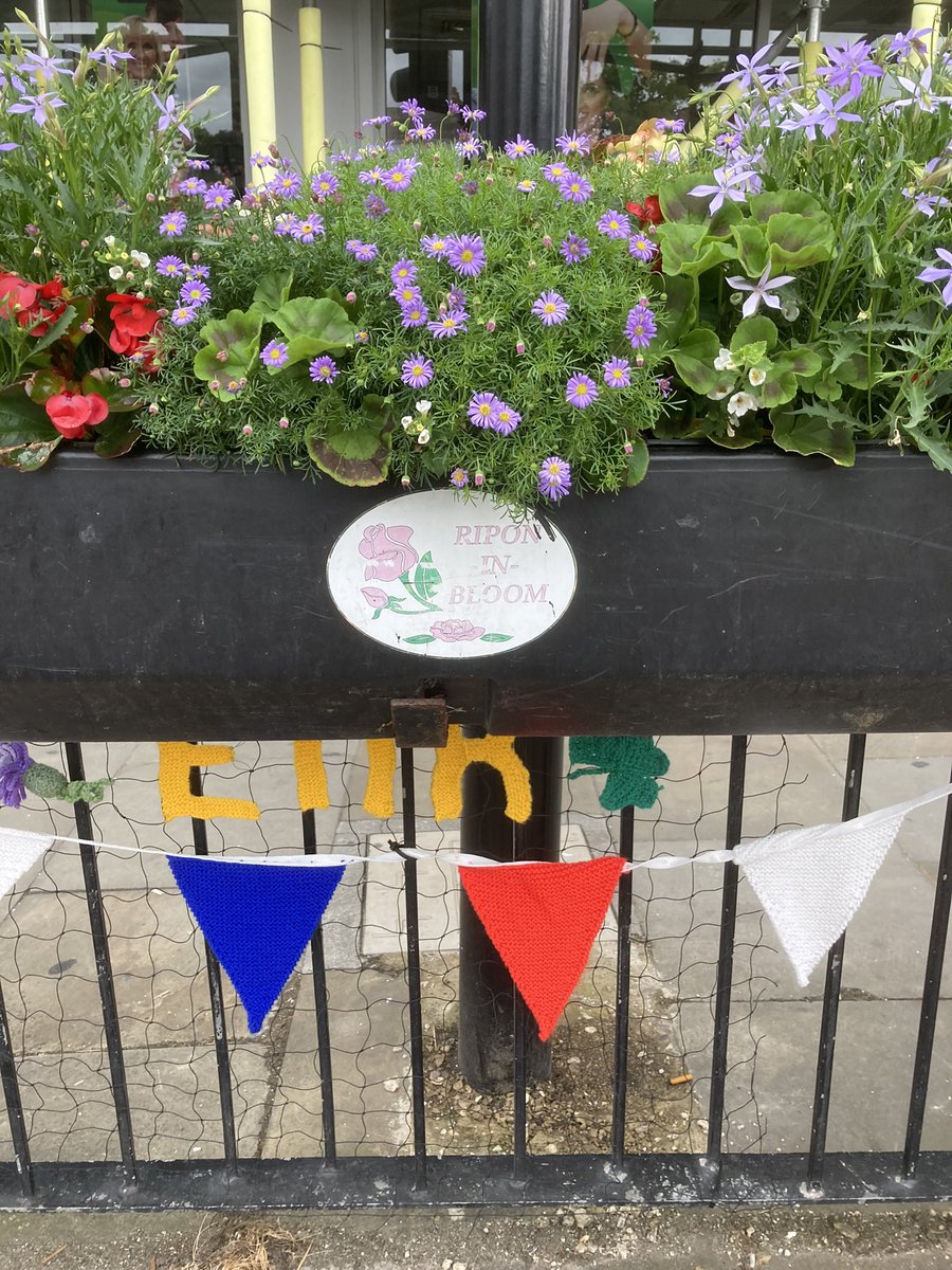 ripon in bloom tweet media