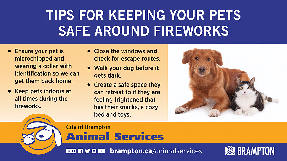 City of Brampton on Twitter: City of Brampton on Twitter: