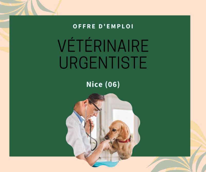 RhAxio's tweet image. 👉 Implantée à Nice (06) depuis de nombreuses années, une grande structure vétérinaire souhaite embaucher un(e) vétérinaire urgentiste dès que possible pour renforcer l’effectif aux urgences.

🙂 Toutes les infos ici : bit.ly/3CbupTR