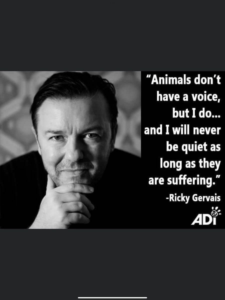 RT @ShalleyJm: Love Ricky Gervais … https://t.co/pNPeRUJ6Ry