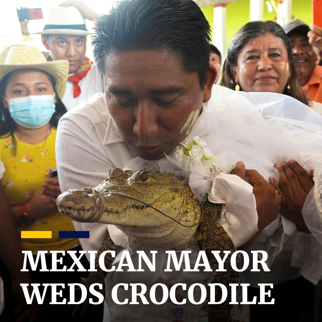 wow.......the mayor of a small Mexican town, married his crocodile bride in  a colourful indigenous ceremony...... | HardwareZone Forums