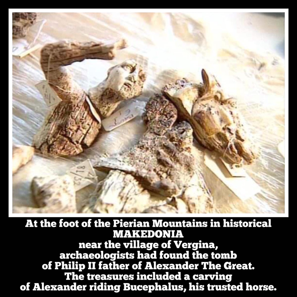 At the foot of the #Pierian Mountains in Historical #Macedonia, near the Village of #Vergina, #Greek archaeologists discovered in 1977 #Philip II's Tomb. The Treasures included a carving of #Alexander riding #Bucephalas, his famous trusted horse.

#history #archaeology #Greece 🇬🇷