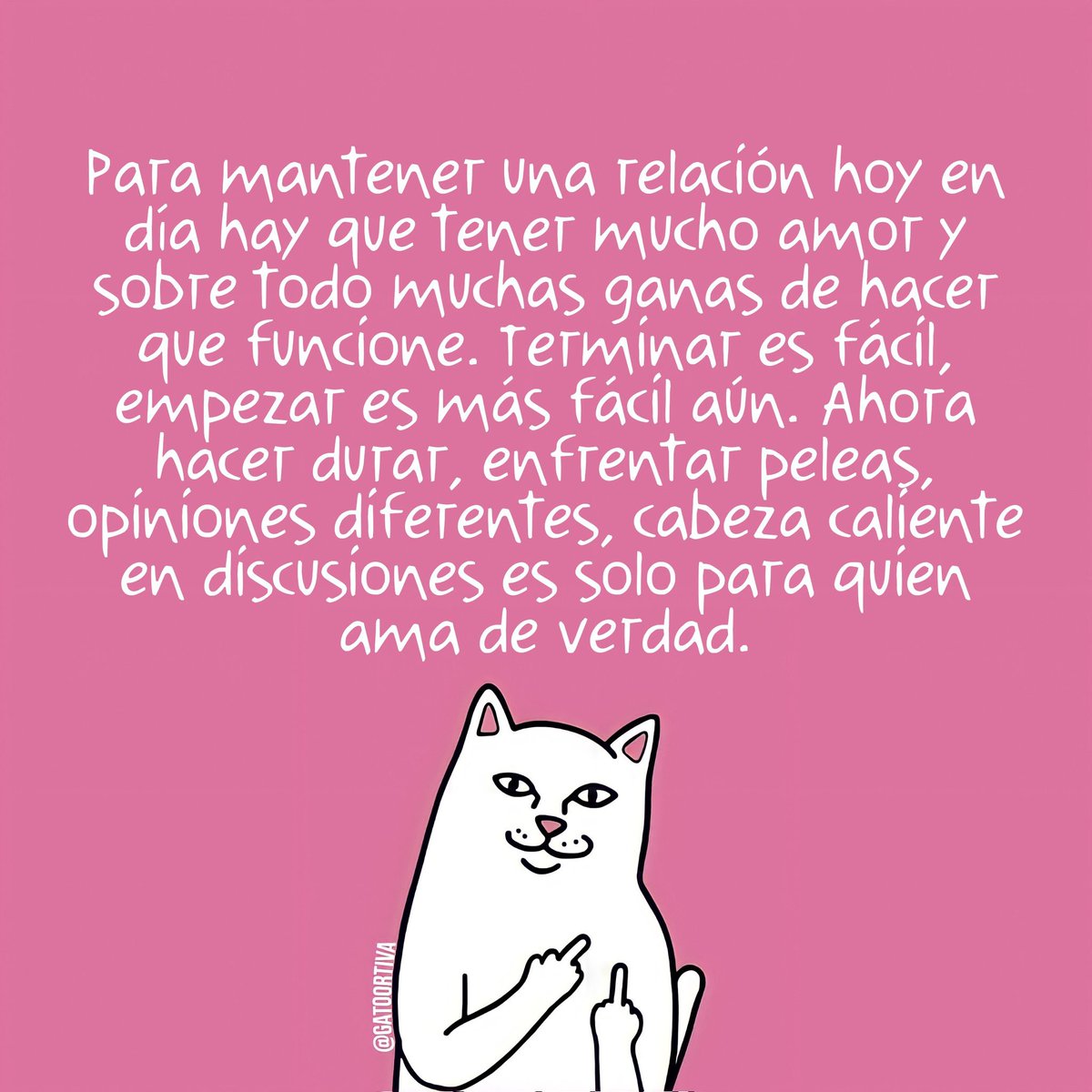 Gato Ortiva (@elgatoortiva) on Twitter photo 