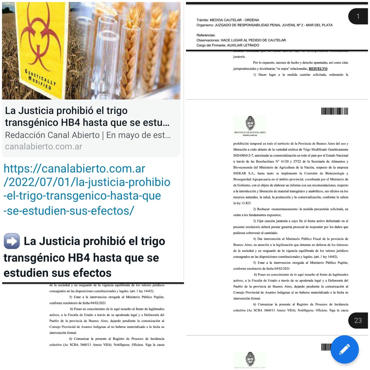 BlausteinMatias's tweet photo. Maravillosa noticia para cerrar el viernes. 

Un tribunal bonaerense hizo lugar a una medida cautelar e impidió la producción y comercialización del Trigo HB4.

¡A seguir la lucha! https://t.co/g8nosIWYis