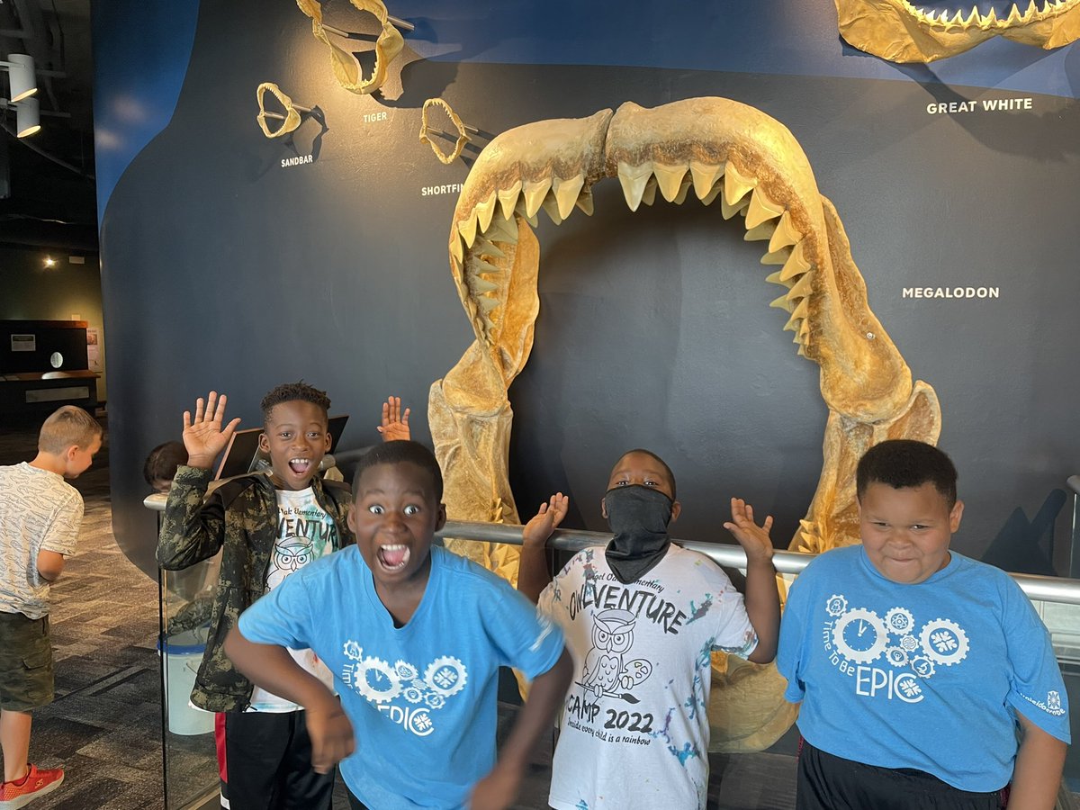 rfjeffcoat's tweet photo. Lion fish, and tiger sharks, and stingrays, OH MY!  These wise owls enjoyed hands on learning at our trip to the aquarium!  @angeloakes @SCaquarium https://t.co/6gaeW9ixpO