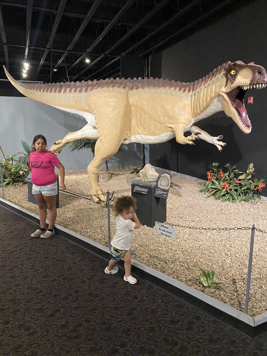Mesalands Dinosaur 🦕 Museum with the kids…they had a blast!  Rawr 🦖