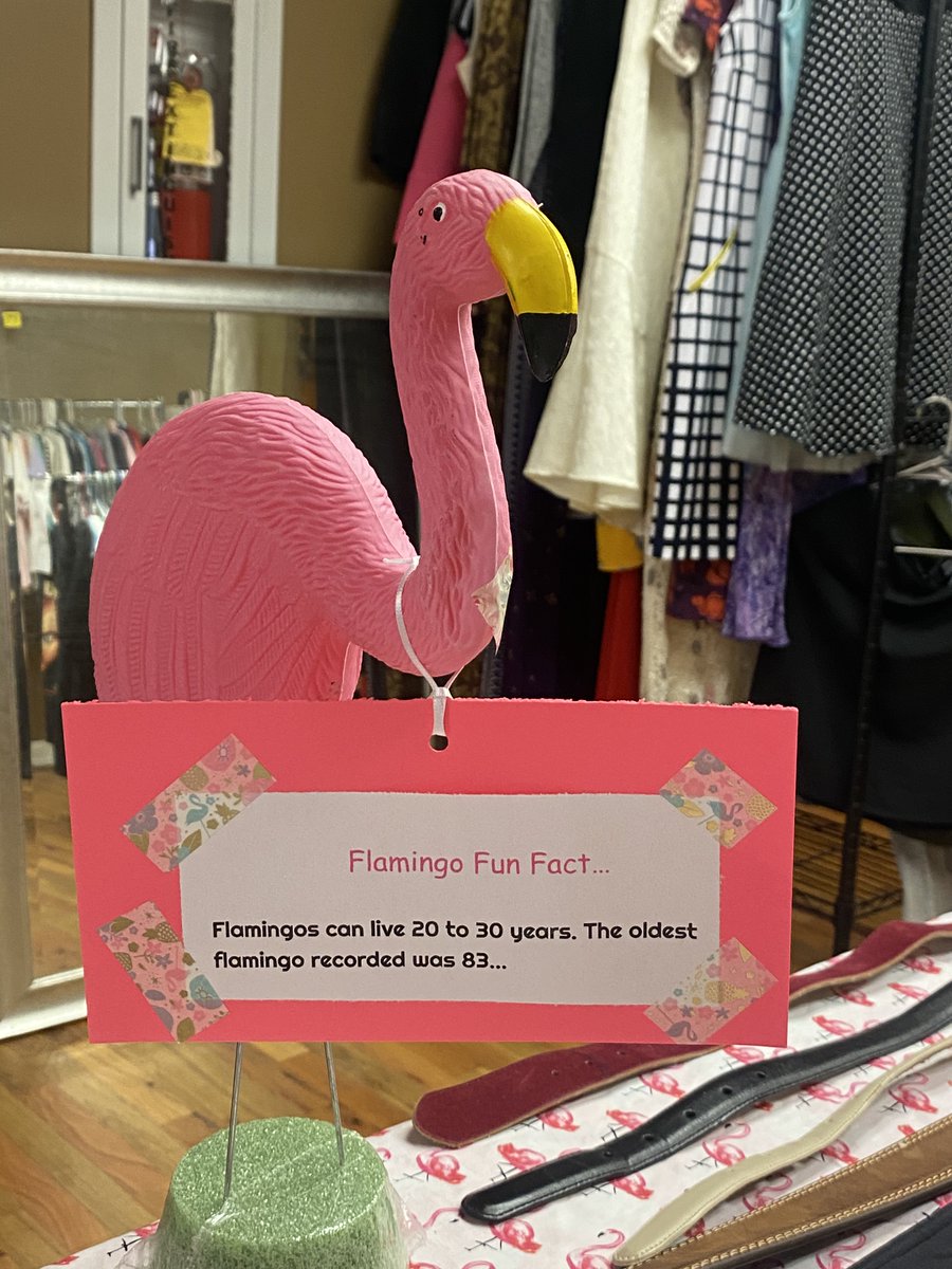 MainStreetGreenville tweet media