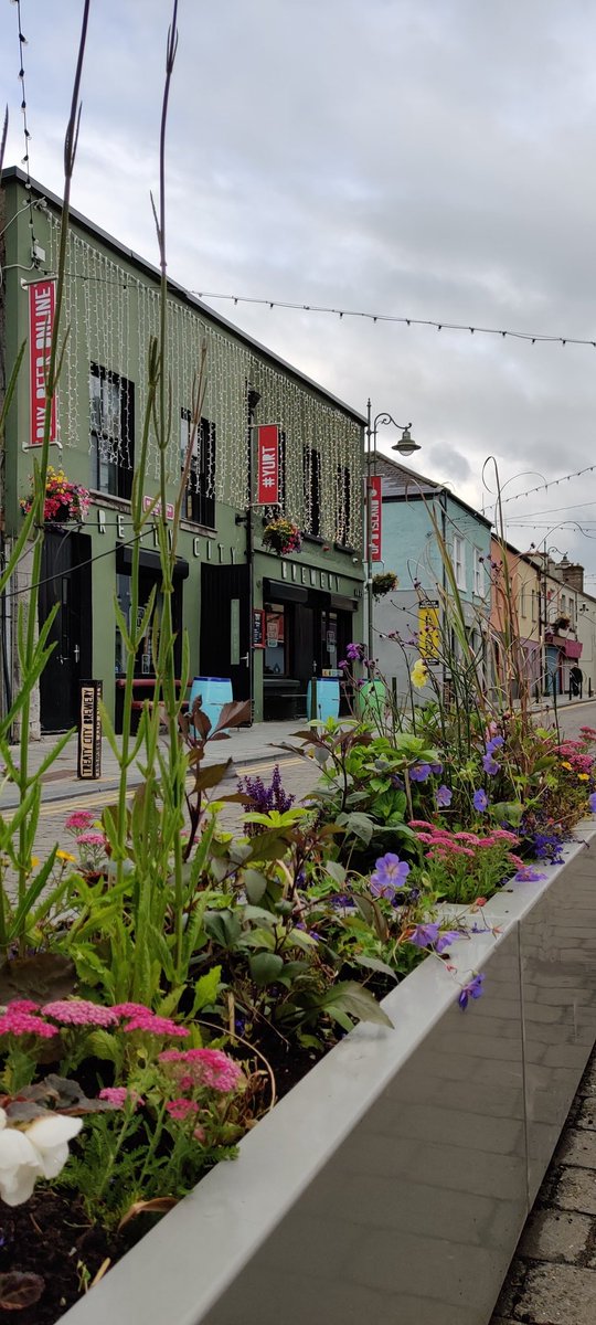 MedievalLimk's tweet image. The power of colour &amp;amp; nature to transform a streetscape 😍 
Thanks @LimerickCouncil for these beautiful new additions to Nicholas Street this week 👏
Be sure to check them out if you're doing the 3 Bridges Walk @WalkThree this weekend ☀️
#Limerick