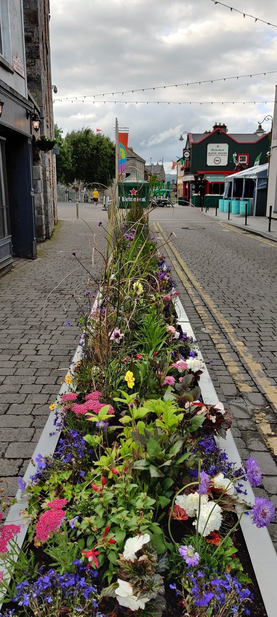 MedievalLimk's tweet image. The power of colour &amp;amp; nature to transform a streetscape 😍 
Thanks @LimerickCouncil for these beautiful new additions to Nicholas Street this week 👏
Be sure to check them out if you're doing the 3 Bridges Walk @WalkThree this weekend ☀️
#Limerick