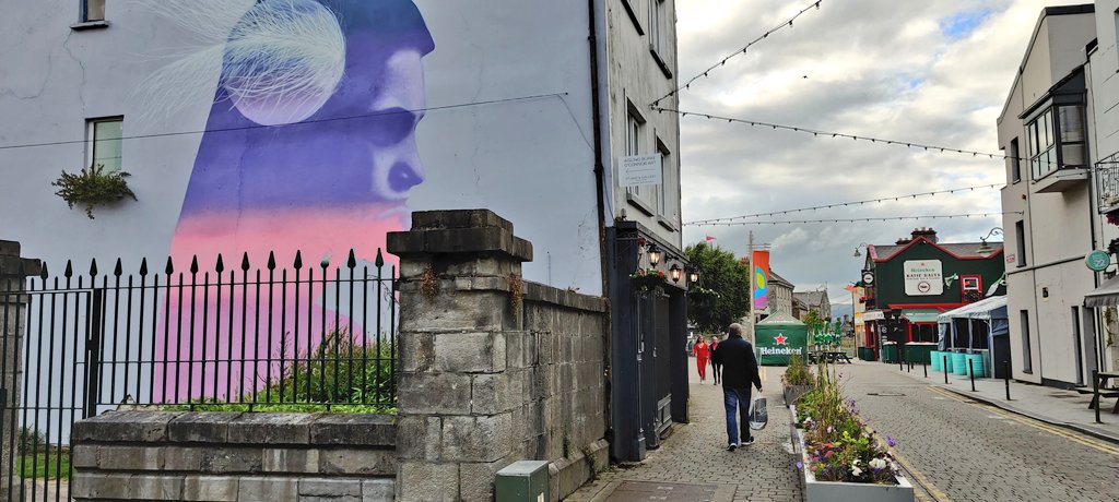 MedievalLimk's tweet image. The power of colour &amp;amp; nature to transform a streetscape 😍 
Thanks @LimerickCouncil for these beautiful new additions to Nicholas Street this week 👏
Be sure to check them out if you're doing the 3 Bridges Walk @WalkThree this weekend ☀️
#Limerick