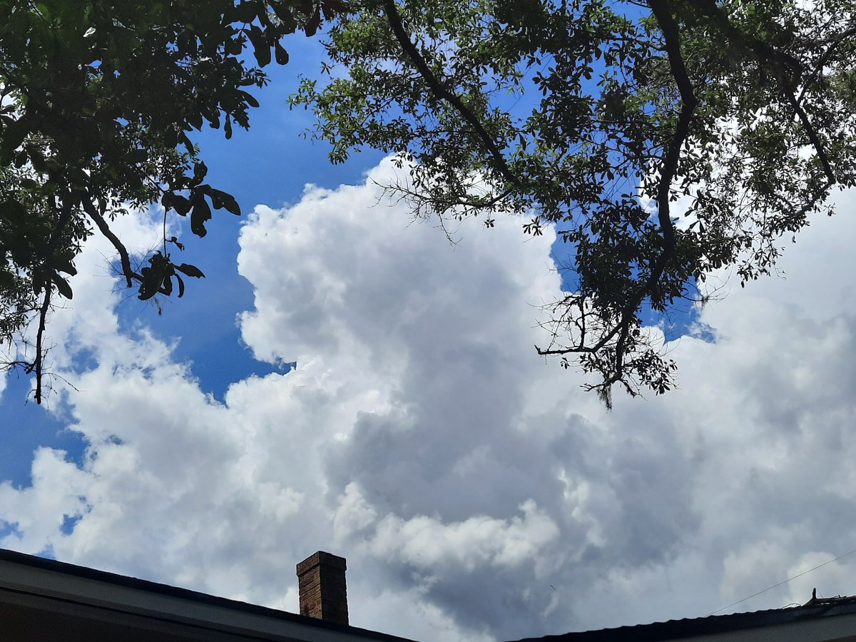#JaxFL Cumulus #clouds over my house today 🙏🏽Still Need Rain 🌧‼️#ViaAStockADay #StormHour #ThePhotoHour #AJSGArt @WizardWeather @EarthandClouds2 #nature @luketaplin42 @tracyfromjax @JAclouds @cloudymamma @enjoyscooking @AngelBrise1 @WilliamBug4 #firstalertwx @mypicworld @PicPoet