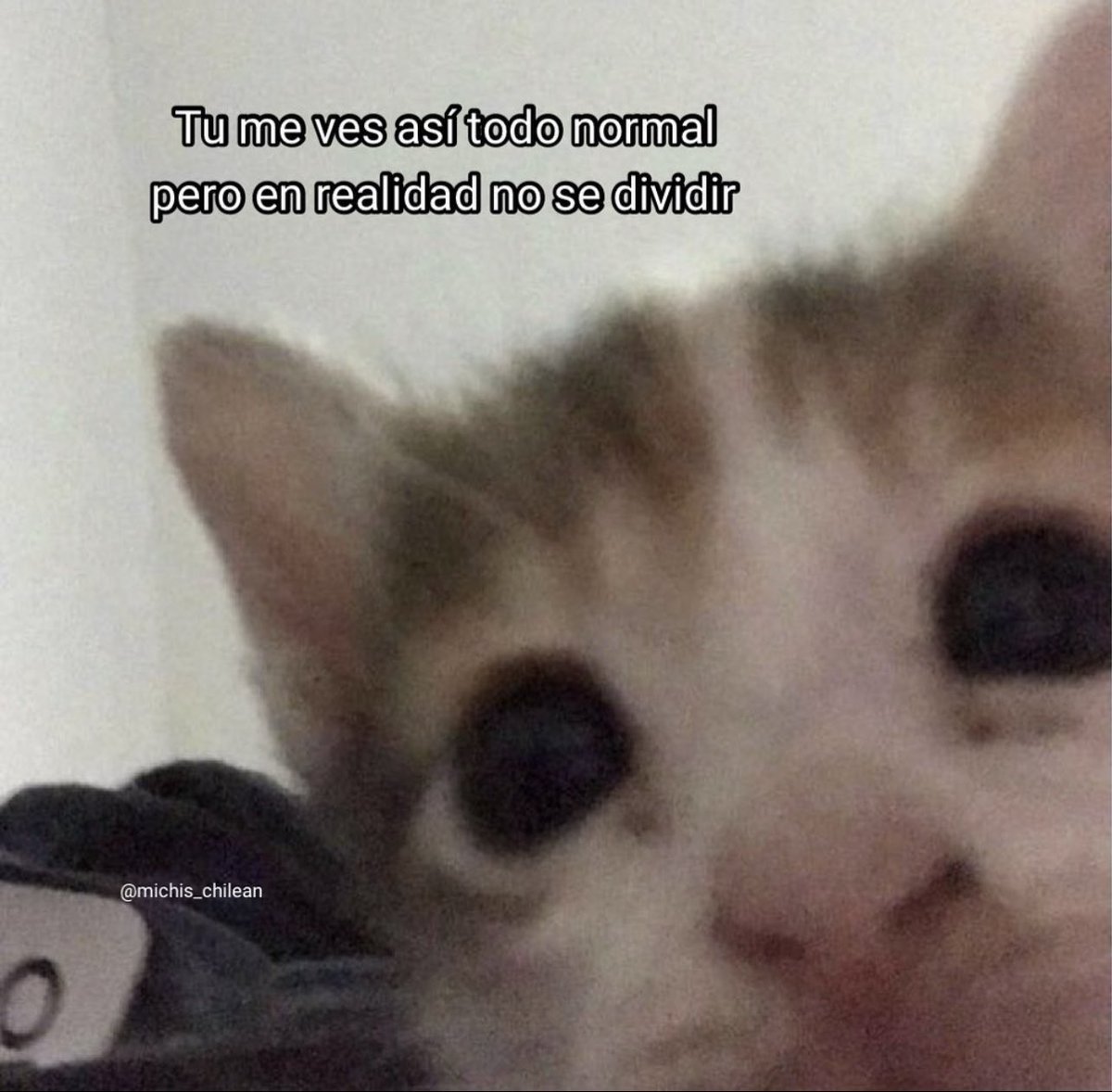 aXoZerr's tweet image. 