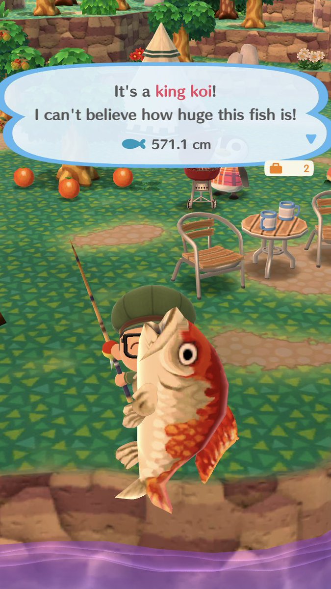 SyrSci's tweet photo. It seems like Koi season in #AnimalCrossing #pocketcamp https://t.co/g01EB4fRRy