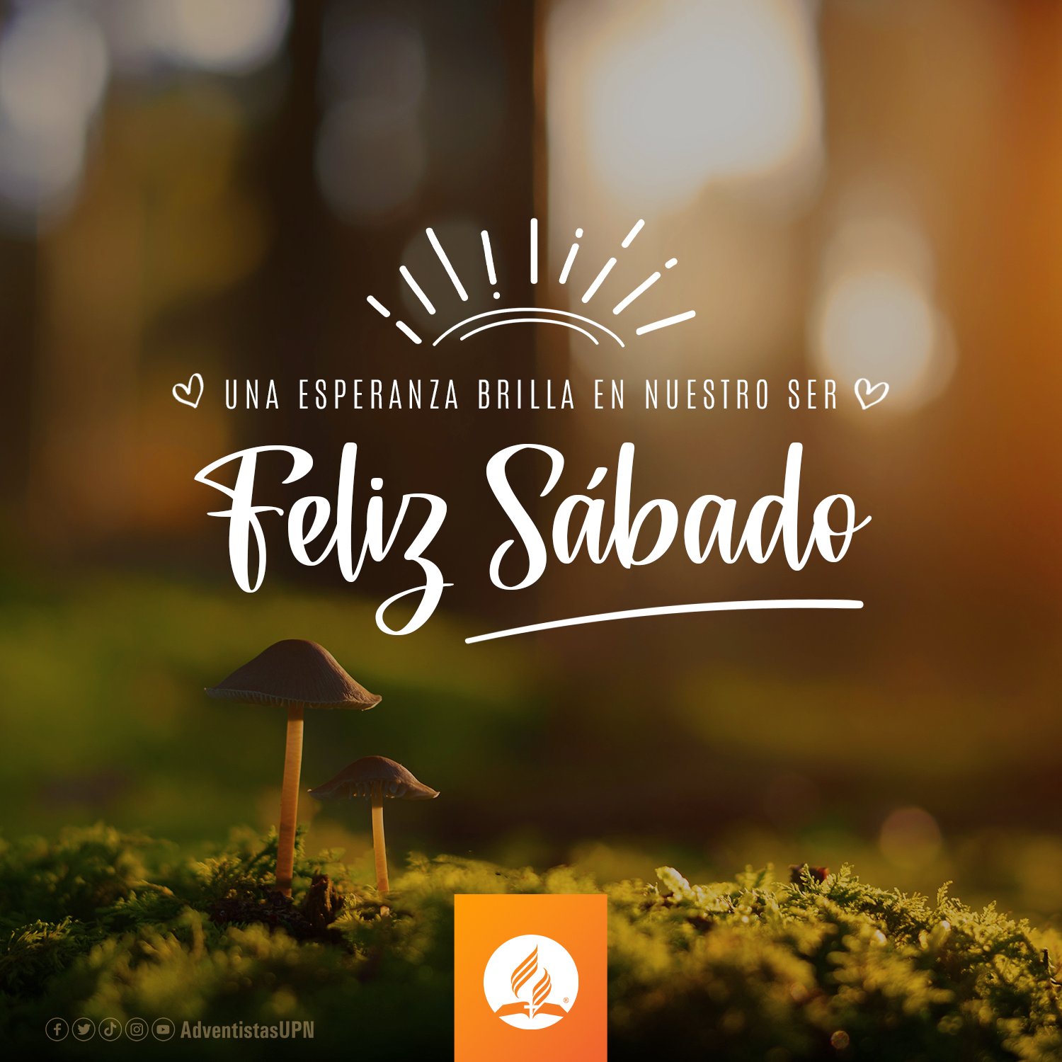 Adventistas - Perú on Twitter: Adventistas - Perú on Twitter: