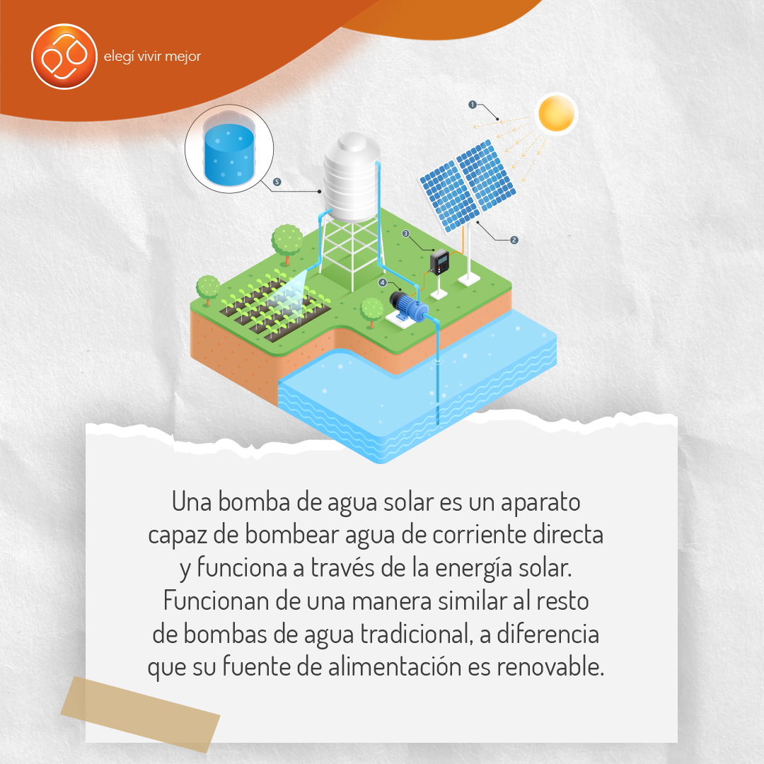 ealternativapy's tweet photo. Te contamos cómo funciona la bomba solar de agua y los beneficios que ofrece para tu emprendimiento agrícola.

#BombaSolar  #EnergíaAlternativa #ElegíVivirMejor https://t.co/dZy3cdZSnI