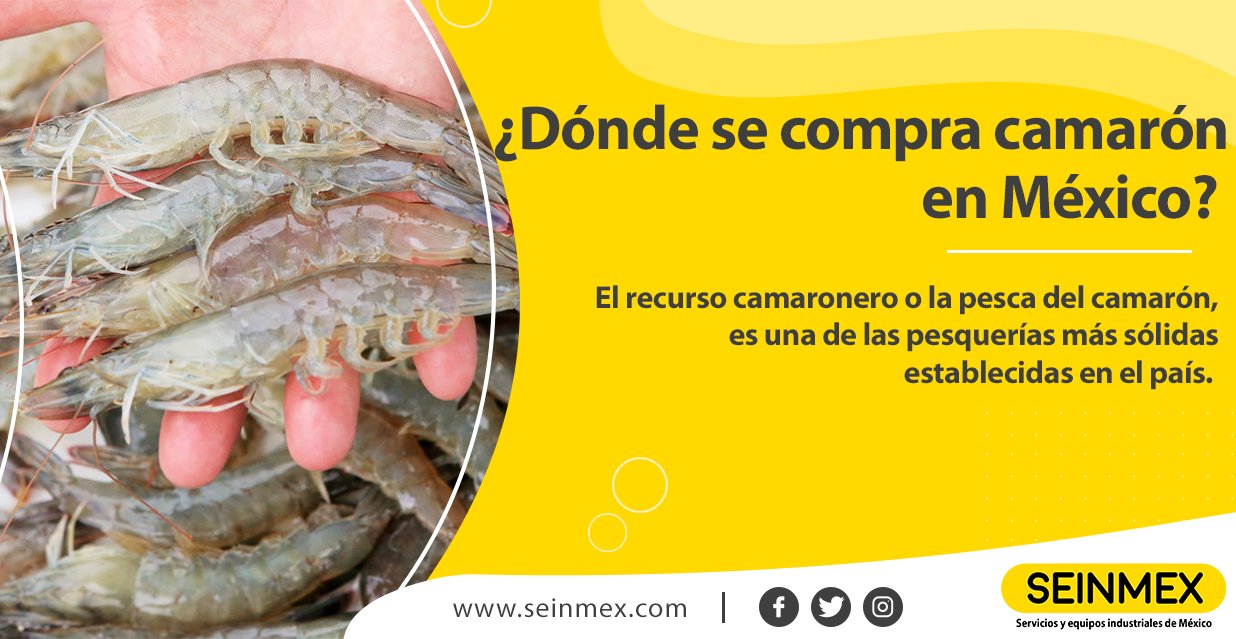 Seinmex on Twitter: "¿Sabes dónde se camarón en México?, ¡Aquí te lo contamos! 🟡 recurso camaronero, o la pesca del camarón 🦐, es una de las pesquerías más sólidas