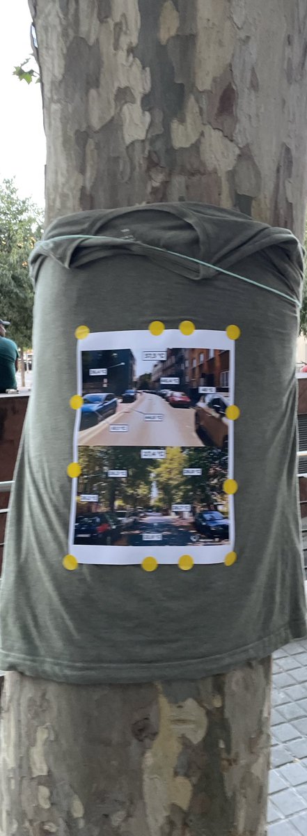 ElBellvis's tweet photo. Des de Defensem el Castell de Bellvís anunciem que tornarem a posar els cartells als arbres del carrer Doctor Martí i Julià | @LHAjuntament no cuida el veïnat #SOSPatrimoniLH https://t.co/xM3Q9mIc5V