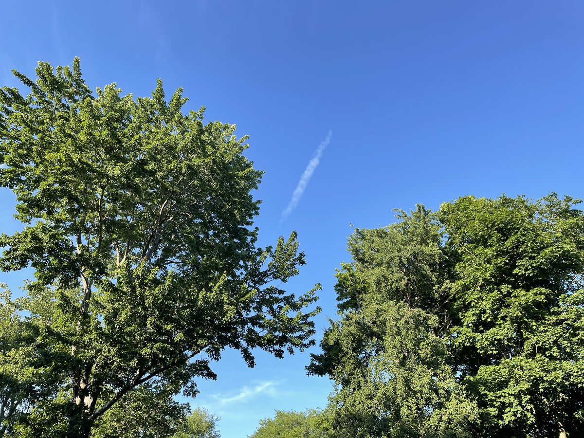 Happy Canada Day 🇨🇦! Enjoying a relaxing evening in the backyard listening to the trees in the breeze!
