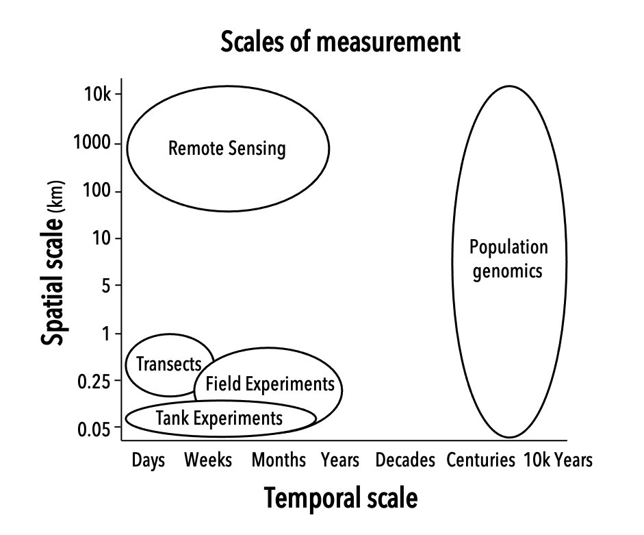 fishymary's tweet photo. From #polyps to #pixels - we wrote a perspective about scaling in coral reef resilience research with ideas for how the field can use old and new tech to bridge across scales. Out today in Landscape Ecology https://t.co/V3hGcInONj https://t.co/rUPC594sgJ