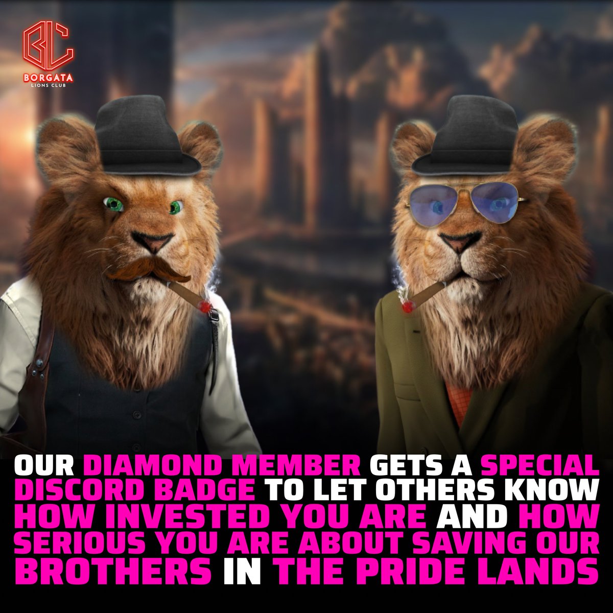 BorgataClub's tweet photo. Each Diamond member gets a special Discord badge to let others know how invested you are and how serious you are about saving our brothers in the pride lands.

#borgatalionsclub #nft #NFT #NFTS #cryptoart #bayc #apesinspace #fatapeclub #partyapes
#NFTcollector #modernart #crypto https://t.co/gXofDD61al