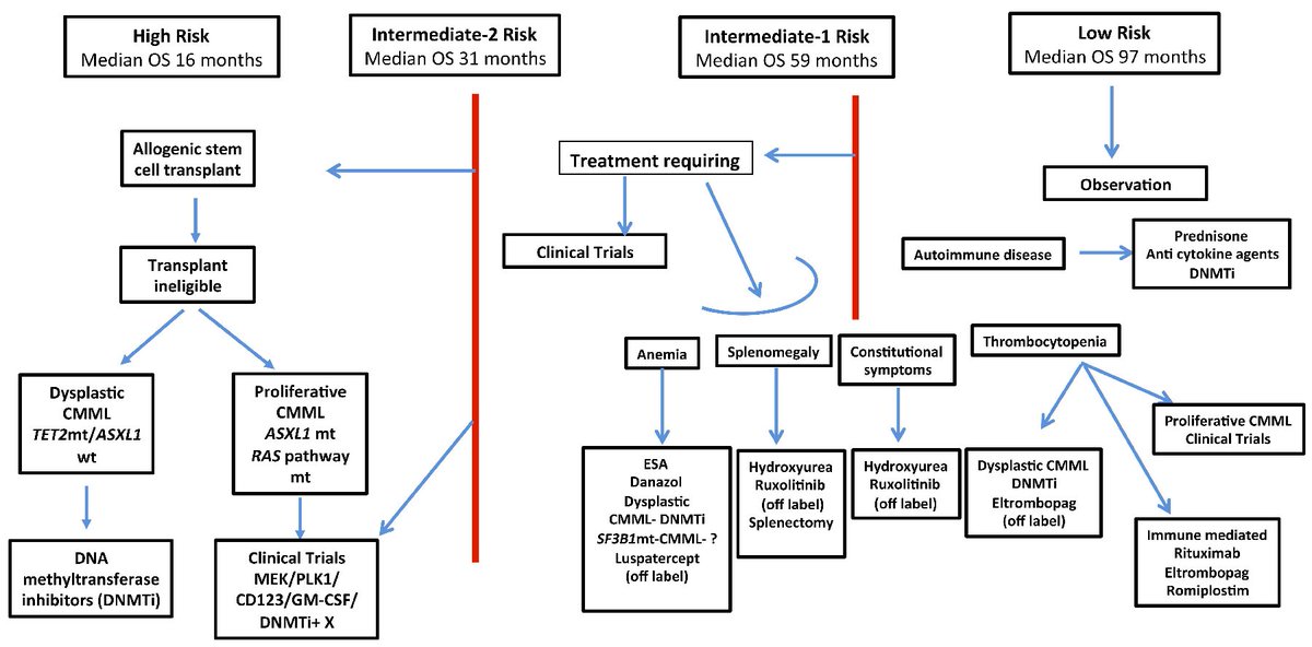 How I diagnose and treat chronic myelomonocytic leukemia | Haematologica haematologica.org/article/view/h… #CMML