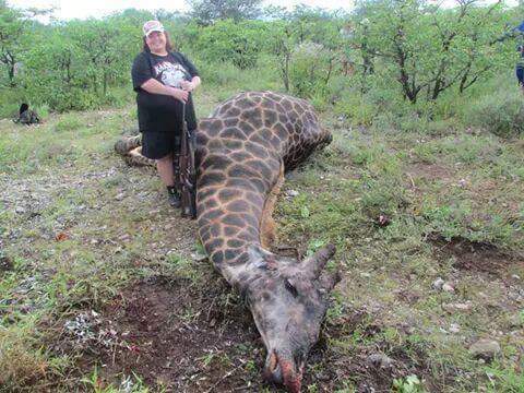 This is just plain wrong. How could you pull a trigger and shoot something as majestic as this defenseless animal? Why? So sad to see. Trophy hunting should be banned worldwide. Retweet if you agree. #gunviolence #hunter #hunters #hunting #poacher #poachers #poaching #africa