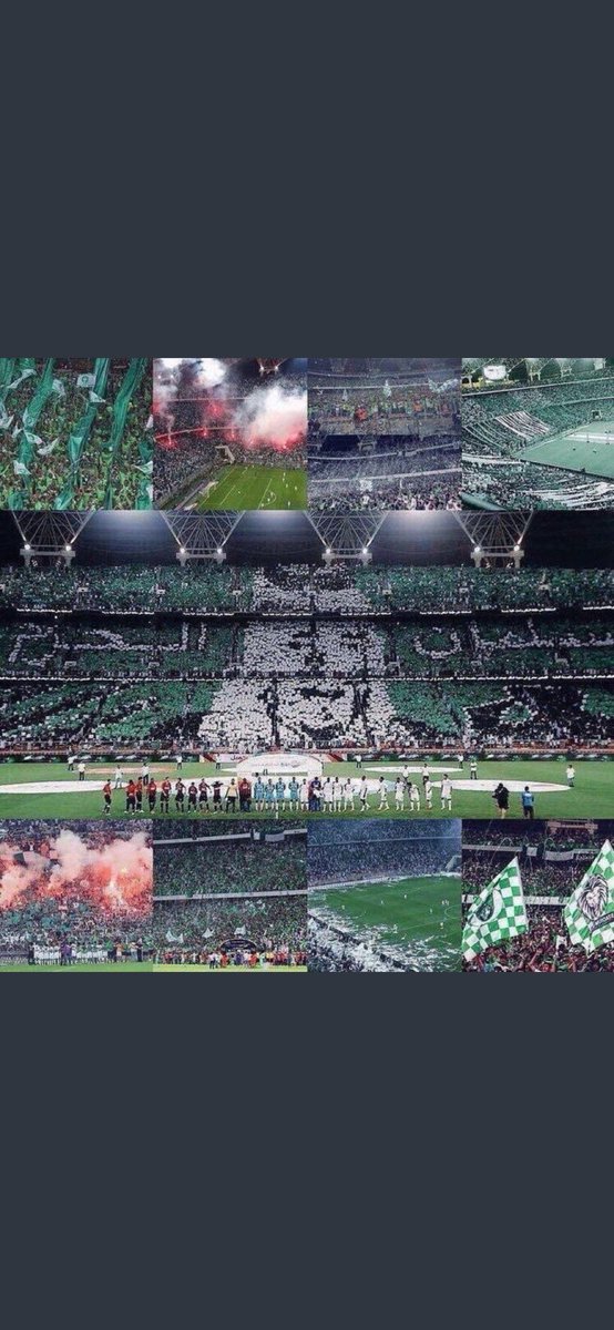 asiaradio_1's tweet photo. النادي الاهلي حتمآ ستعود ليالي الأفراح كبوه جواد ياملكي ستعود برؤية جديدة ستعود للقمة متربعآ ستعود وتكيد الحساد .. 

خلفك جمهور يعتبر الاول في الخليج العربي https://t.co/F3tf5pnJaT
