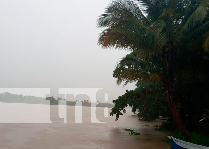 canaltn8's tweet photo. #AHORA #Nicaragua | En San Juan De #Nicaragua cae lluvia moderada y estas son las imágenes de las 4:50 de la tarde https://t.co/5a6C4jMO0I
