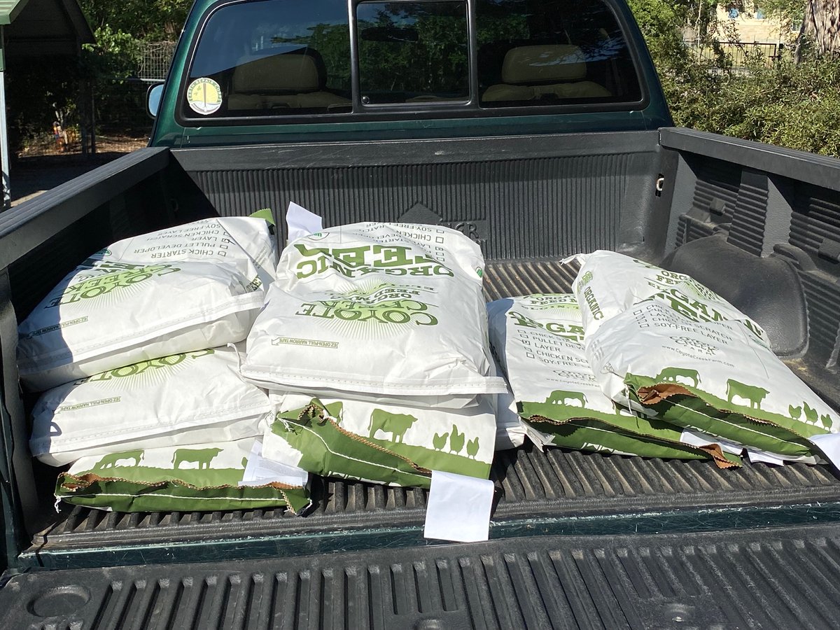 400 lbs of organic chicken feed. They’re a hungry bunch.