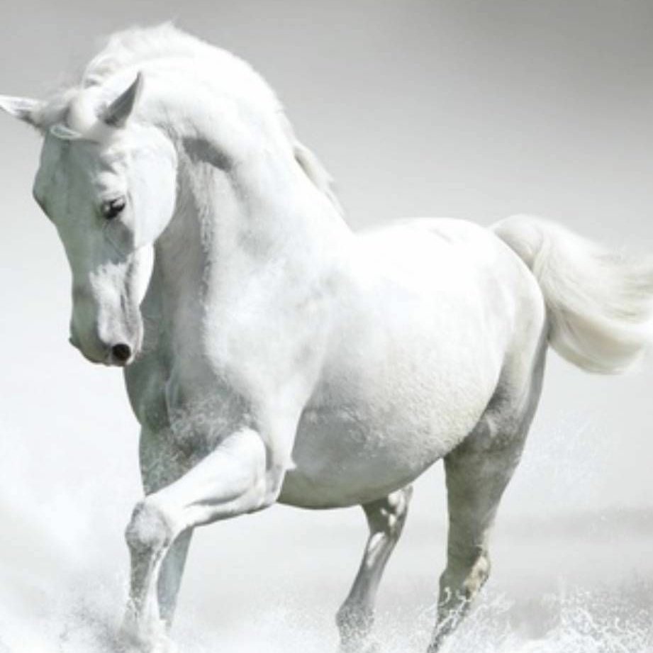 ابتعد عني انا منك انتهيت