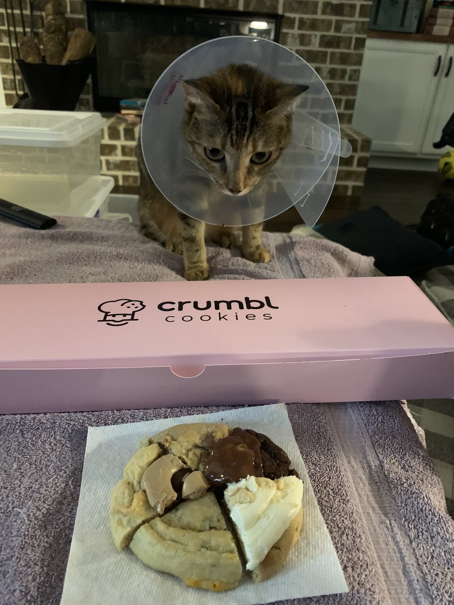 insidescott's tweet image. Sitting down to watch #strangerthings the right way with   @CrumblCookies and the family cat on the mend #crumbltogether