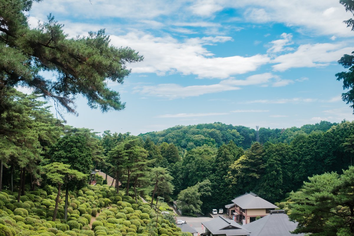 platinumplus_jp's tweet photo. 先週末は紫陽花を求めて塩船観音に行ってきましたー https://t.co/OeCs0Q5FD4