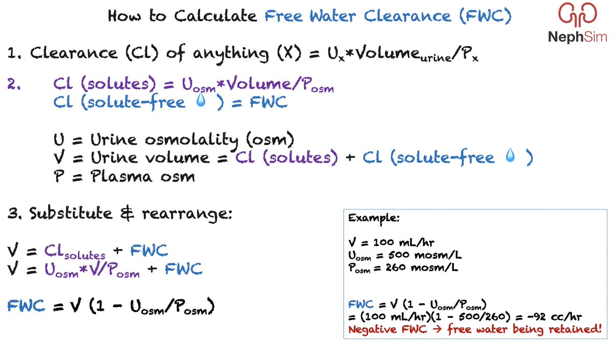 #TipsforNephFellows 

The ratio btwn urine:plasma osm can estimate whether a pt w #hyponatremia is net excreting/retaining free water

If Uosm/Posm > 1: ➖ free 💦 clearance/💦 being retained

If  < 1: ➕ free 💦 clearance/💦 excreted

Calculate it here: nephsim.com/calculators/