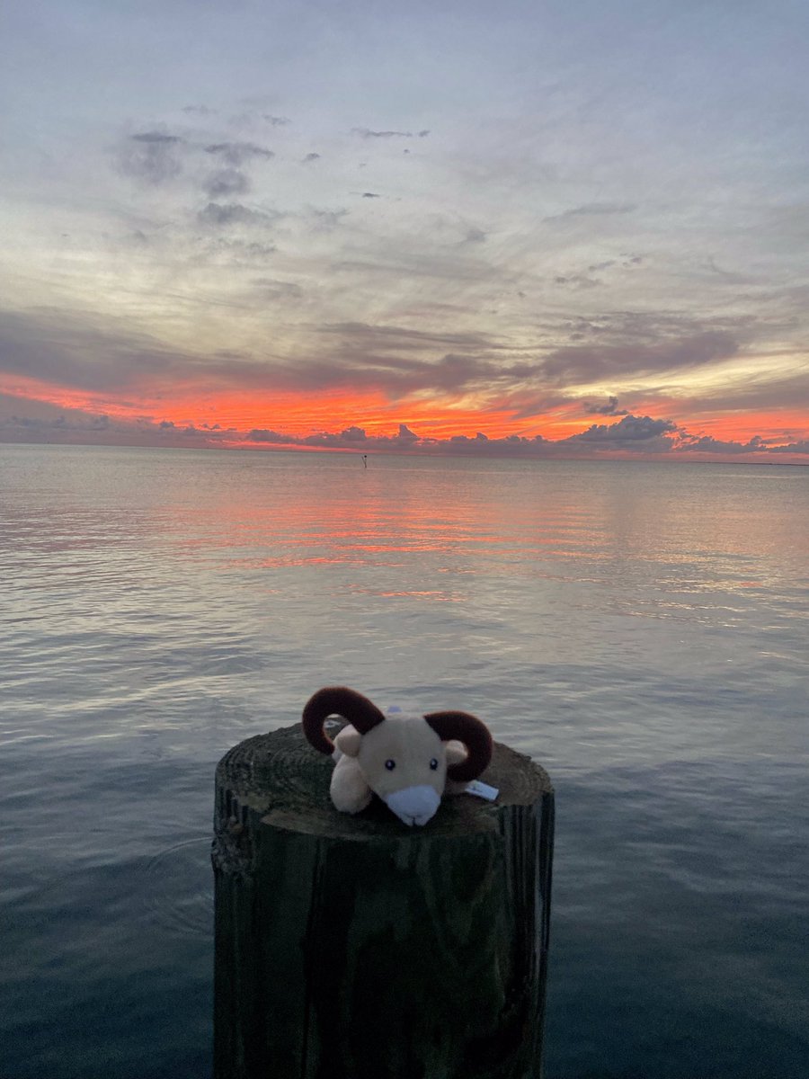 Ronnie the Ram enjoying another beautiful sunset #CRESCulture <a href="/centreridgees/">Centre Ridge Rams</a>