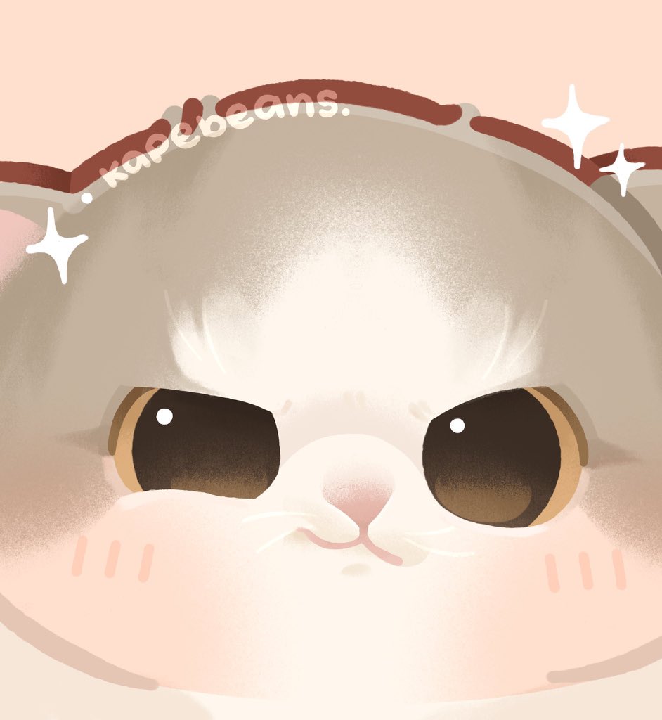 kapebeansies's tweet photo. https://t.co/xEAOE0pC8I