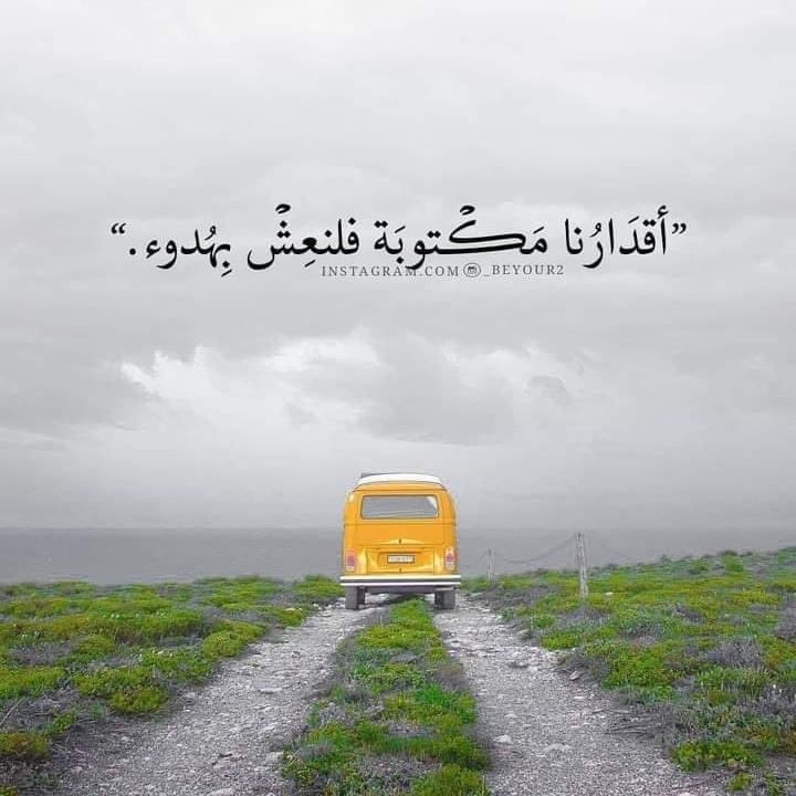 Hala Abdou (@halaabdou6) on Twitter photo 