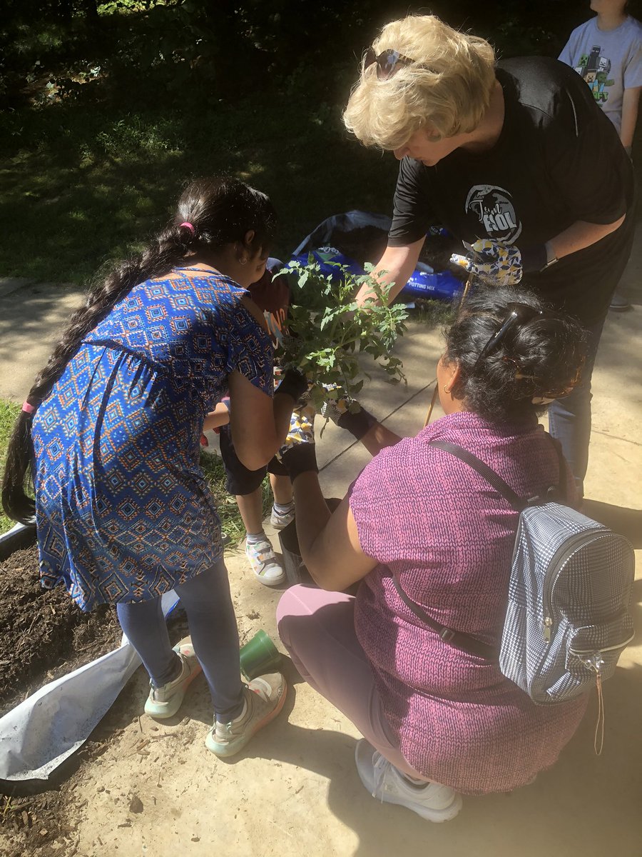 CCPSESOLTeam tweet media