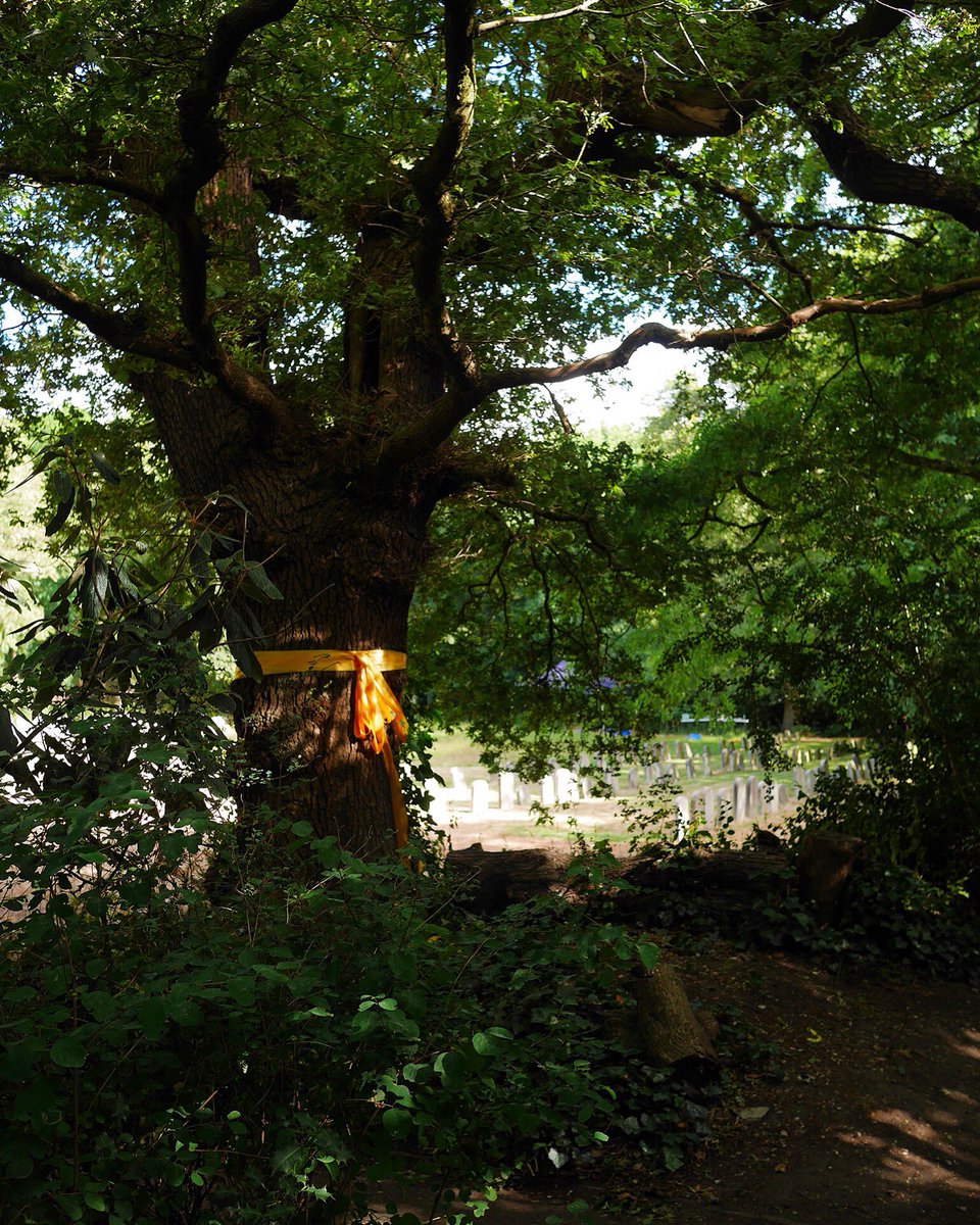 The Gift

I'm coming home I've done my time
And I have to know what is or isn't mine
If you received my letter
Telling you I'd soon be free
Then you'd know just what to do
If you still want me

Now on as part of the #Freedom exhibition, part of the <a href="/Leytonstone_Art/">LeytonstoneArtsTrail</a> #artstrail