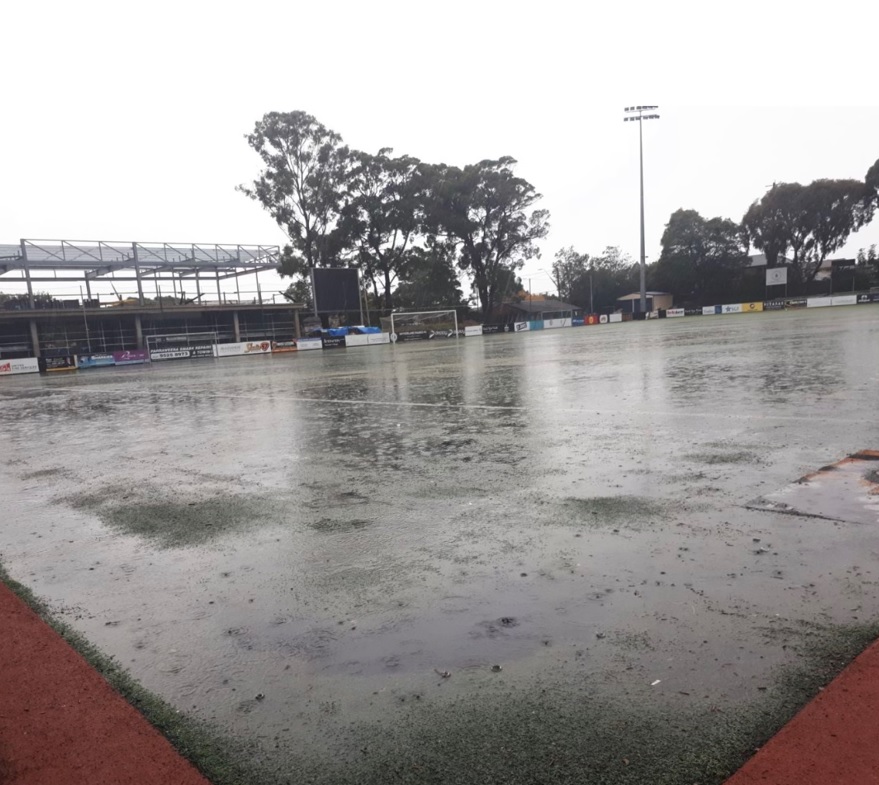 NPL New South Wales tweet media