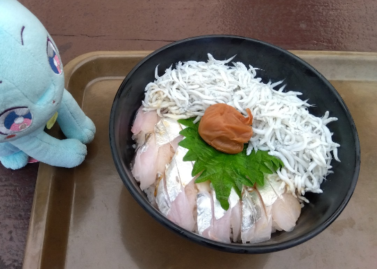 本日どうしてもタチウチ丼が食べたくて…
レッドフラッシュ… 