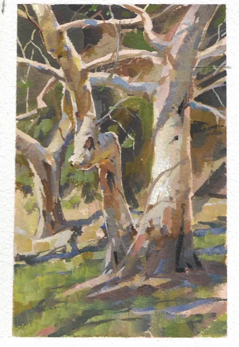 Vegetation practice ;) 