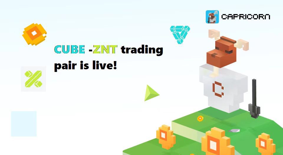 Capricorn Finance tweet media