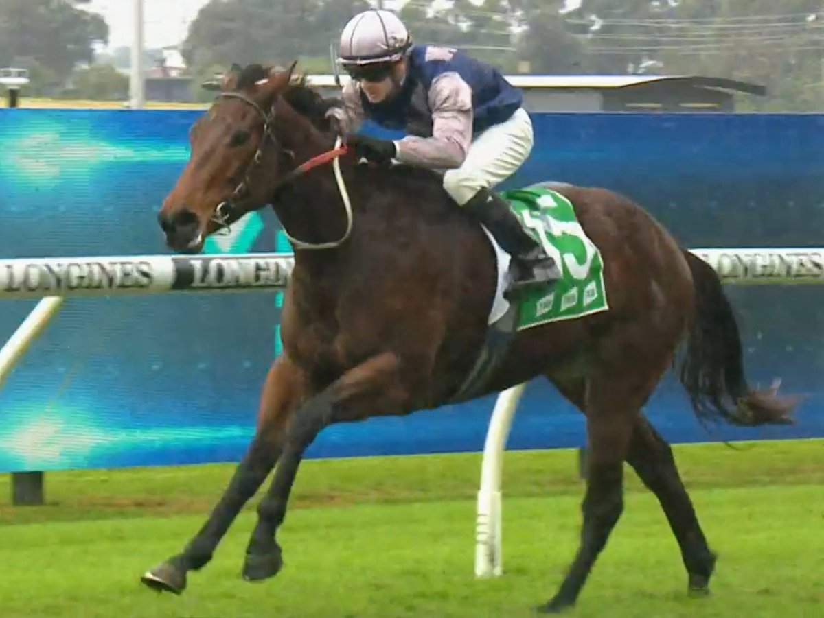What a performance from Iconic Dame, Tyler Schiller &amp; Jamie Stewart taking out the TAB Highway at Rosehill today!🛣🏇💨

Congratulations Jamie on yours, and Moruya's first TAB Highway win!🥂