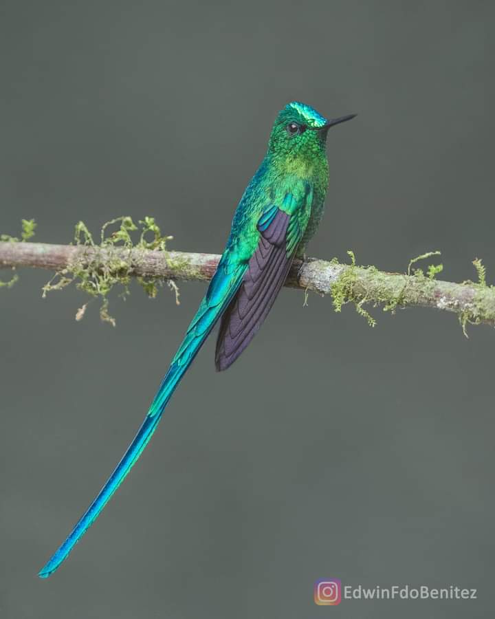 peaceploy's tweet image. มีปีกก็บิน มีเท้าเดิน มีใจก็ลุย...
คงเป็นวันหยุดของใครหลาย ๆ คน แต่เราไม่เคยหยุด แค่เดินช้าลง...
Pic:Ig