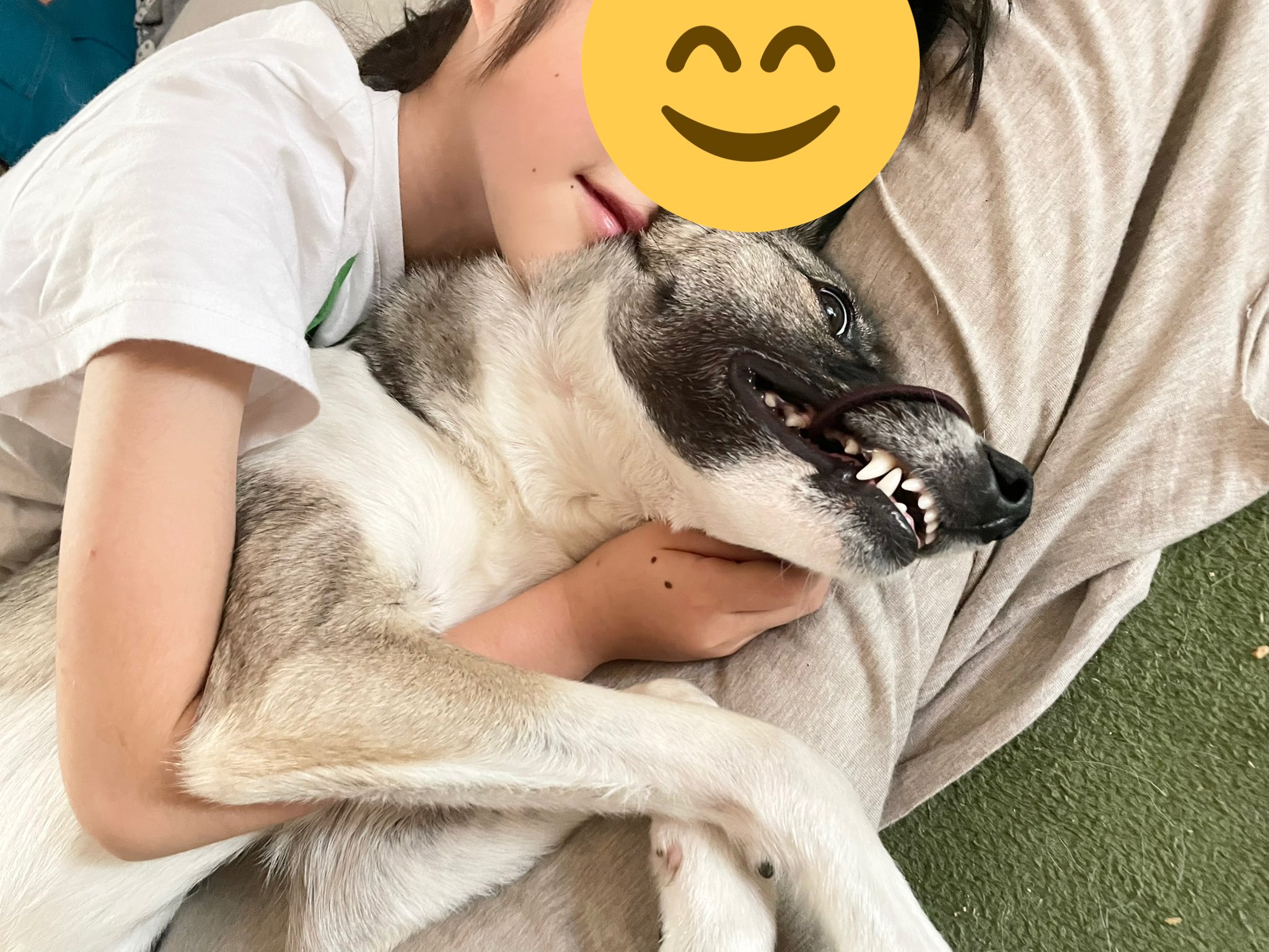 安達さとと とと Auf Twitter 娘のチック 心療内科で処方してもらってた抗不安剤がドーパミンを出してしまってチック に対して効果が無かったことが脳神経外来でわかったので副作用の無い犬吸い療法に切り替えました T Co Hxerw05p1l Twitter