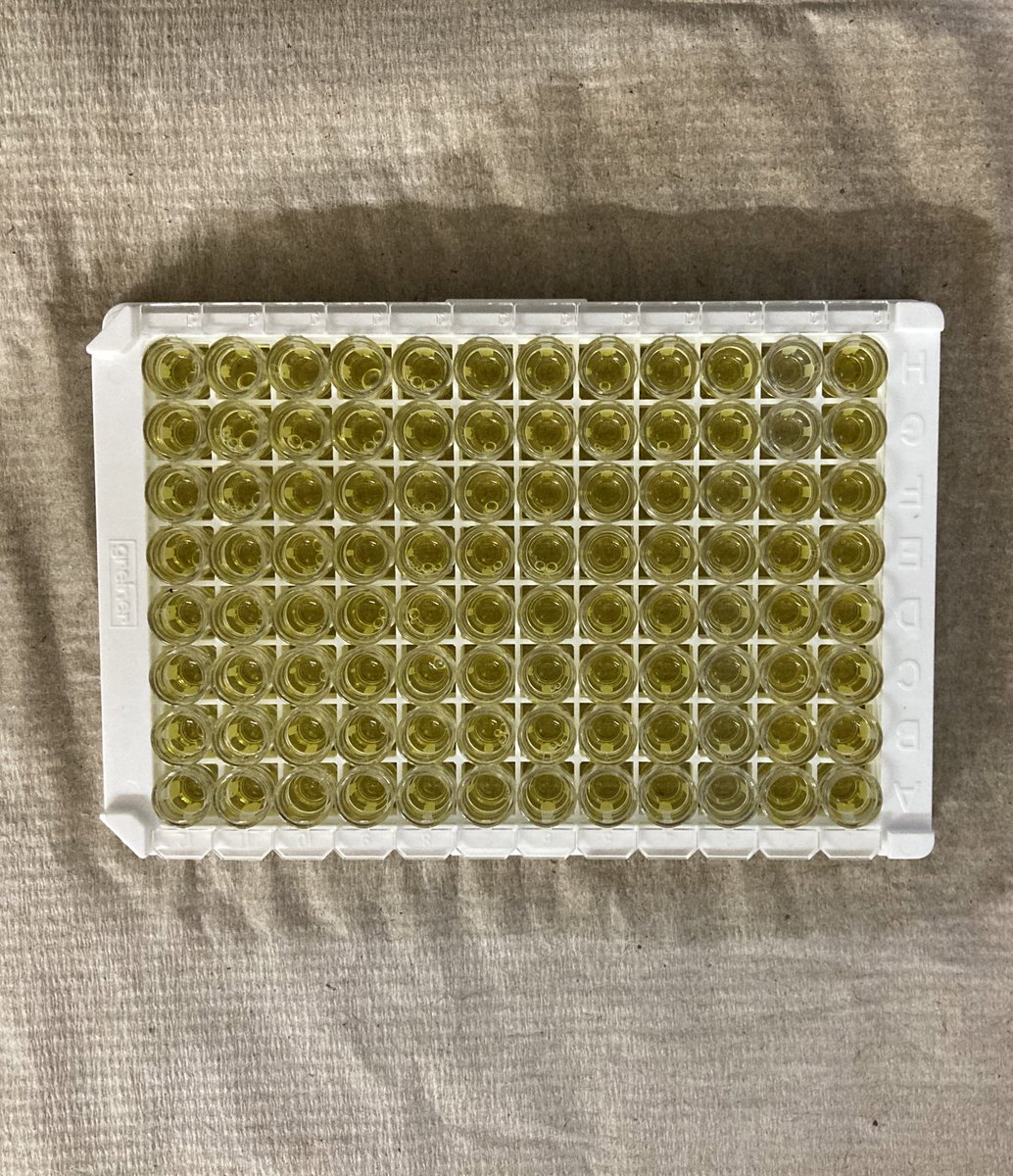 Savvas Paradeisis-Stathis (@savvasstathis) on Twitter photo After a day in the field and many weeks of lab work got the first toxin measurements for almost two meters of mud from Lake Wauberg in Florida. Chase mud with good intentions. <a href="/Waters_Paleolim/">Matthew Waters</a> <a href="/AuburnAg/">Auburn Agriculture</a> <a href="/AuburnWater/">Auburn University Water Resources Center</a> <a href="/NSF/">U.S. National Science Foundation</a> #mud #paleolimnology #paleocyanotoxins #FLMS22 After a day in the field and many weeks of lab work got the first toxin measurements for almost two meters of mud from Lake Wauberg in Florida. Chase mud with good intentions. <a href="/Waters_Paleolim/">Matthew Waters</a> <a href="/AuburnAg/">Auburn Agriculture</a> <a href="/AuburnWater/">Auburn University Water Resources Center</a> <a href="/NSF/">U.S. National Science Foundation</a> #mud #paleolimnology #paleocyanotoxins #FLMS22